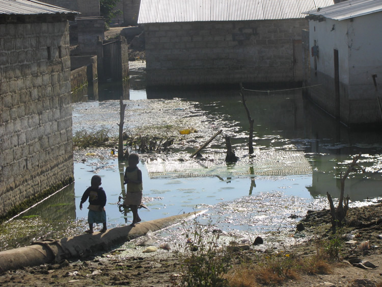 Call for immediate rapid assessment into the impact of heavy rains